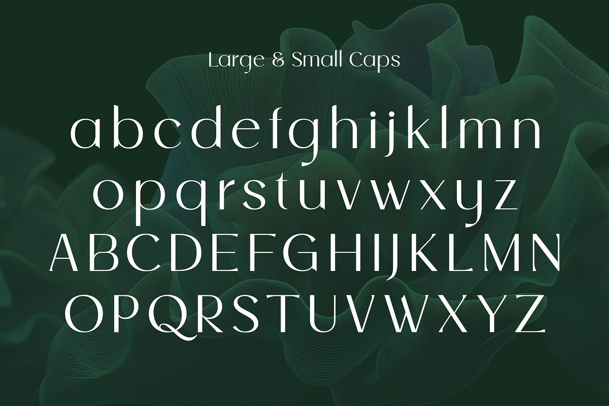 Luxmont - Elegant Floral Typeface, a Serif Font by HipFonts (Photo 3 of 10)