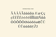Roughnecks Classy Vintage Serif Font, a Serif Font by UICreative (Thumbnail 11 of 13)
