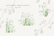 Snowdrops botanical illustration, an Illustration by Olga Koelsch (Thumbnail 3 of 7)