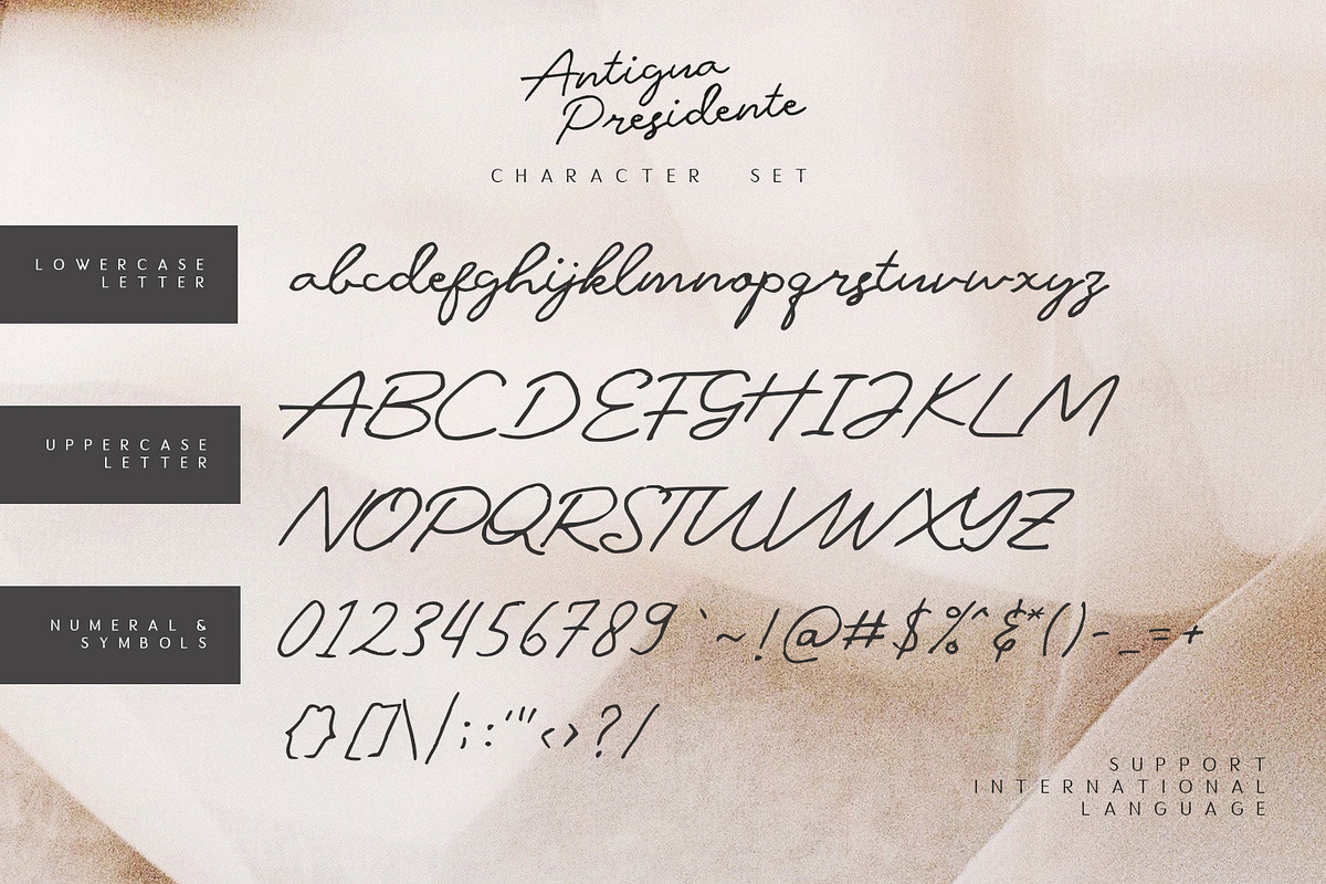 Antigua Presidente - Script Font preview 6