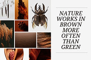 Warm Earth | 290 Earth Tone Photos, a Nature Photo by Tale.Haus (Thumbnail 11 of 18)