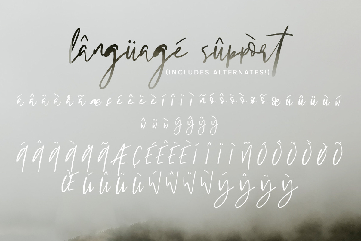Bordeaux | A Romantic Script, a Script Font by Jen Wagner Co (Photo 12 of 13)
