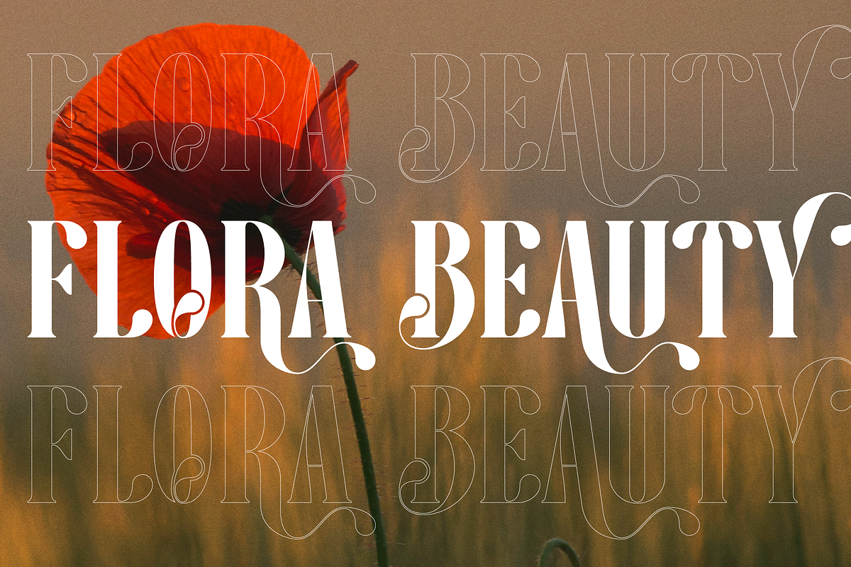 Pany Anemov | Modern Display Serif, a Font by Denustudios (Photo 6 of 15)