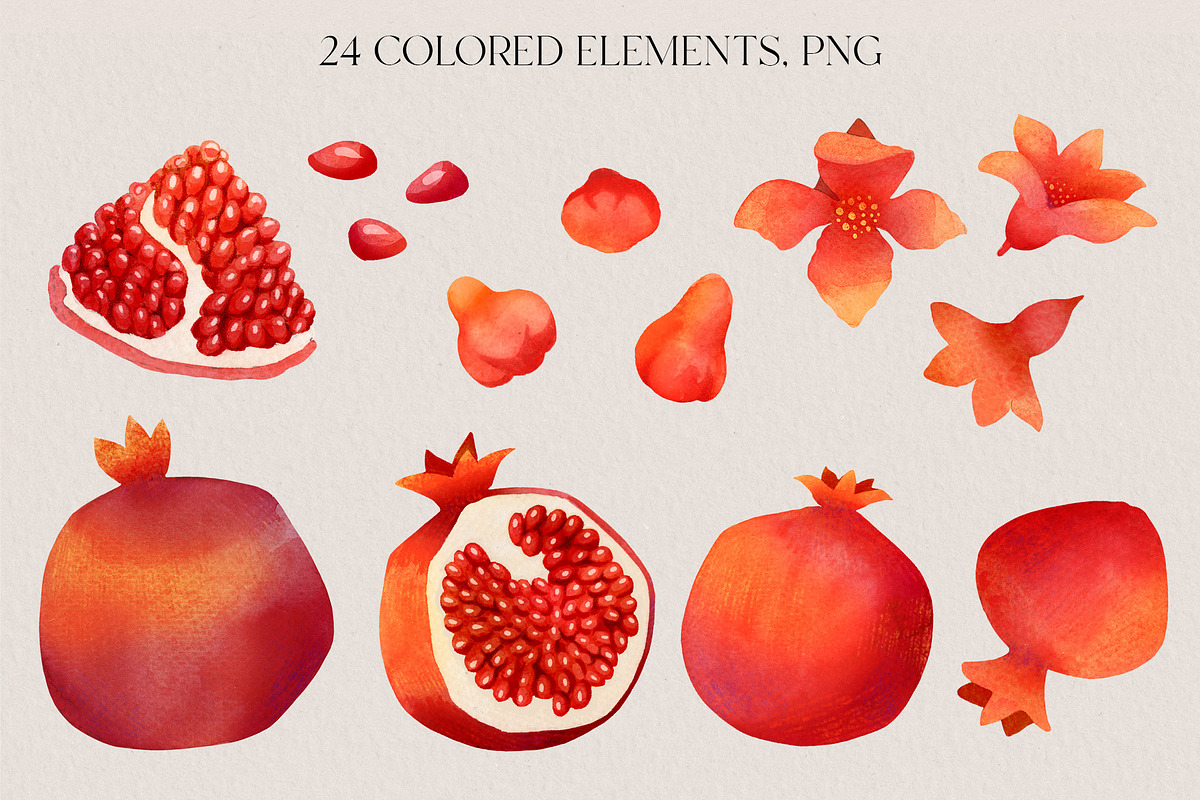 Watercolor Pomegranate clipart, a Decorative Illustration by LukaJreym (Photo 3 of 10)