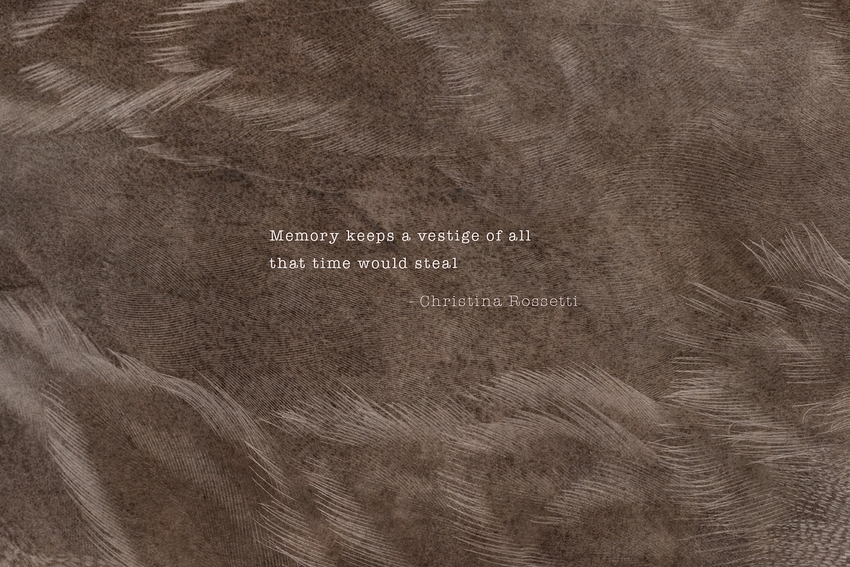 Vestige II · Organic Backgrounds, a Background Graphic by alonahaidash (Photo 15 of 16)