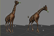HD_GIRAFFE(Rigged&Posed), an Animal 3D Model by 3DFRX (Thumbnail 5 of 5)