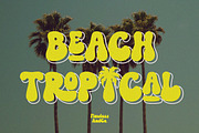 Monley, a Script Font by Flawless And Co (Thumbnail 5 of 12)