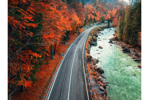 Aerial view of road and autumn red, a Transportation Photo by den-belitsky