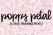Novice - A Script & Print Font, a Script Font by Nap Time Design Co. (Thumbnail 5 of 7)