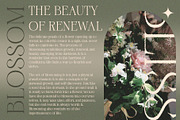 Febila Rough, a Serif Font by Craft Supply Co. (Thumbnail 7 of 8)