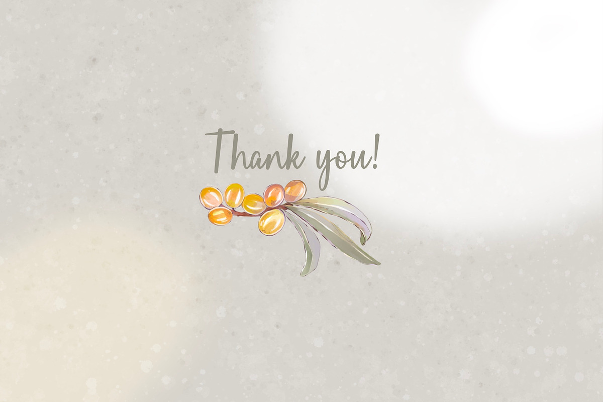 Sea buckthorn clipart and patterns, a Decorative Illustration by Shabbypie (Photo 7 of 7)