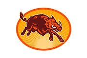 Charging attacking razorback, an Animal Illustration by patrimonio