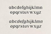 Shailey Morgance Elegant Serif Font, a Serif Font by UICreative (Thumbnail 6 of 13)