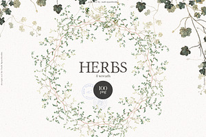 HERBS Botanica & Glitter Effect