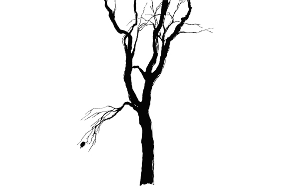 Trees set preview 4