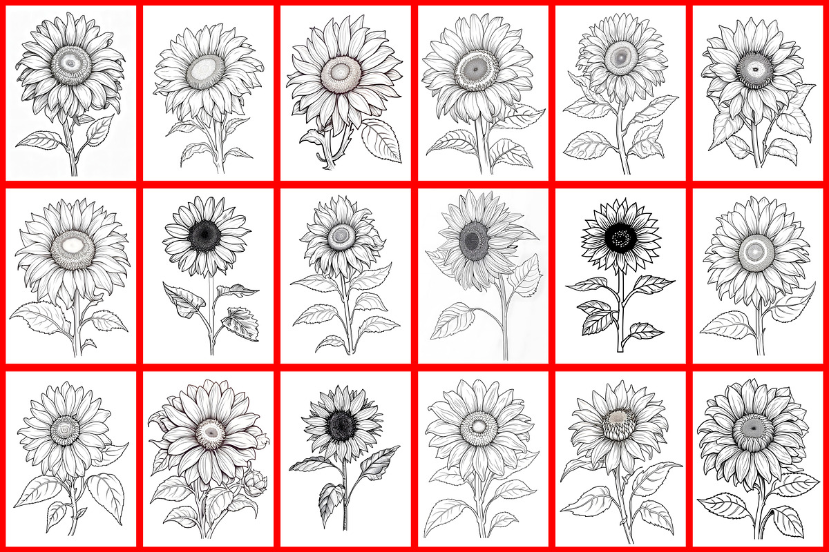 Sunflower Coloring Page, a Graphic by Forhadx5 (Photo 5 of 7)