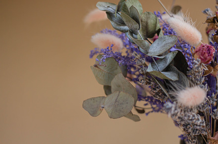 eucalyptus, lavender, roses, a Nature Photo by Arymer