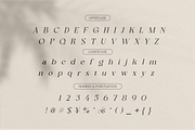 Nagishe Soinetha Moderen & Elegance, a Serif Font by BOOSH Studio (Thumbnail 10 of 13)
