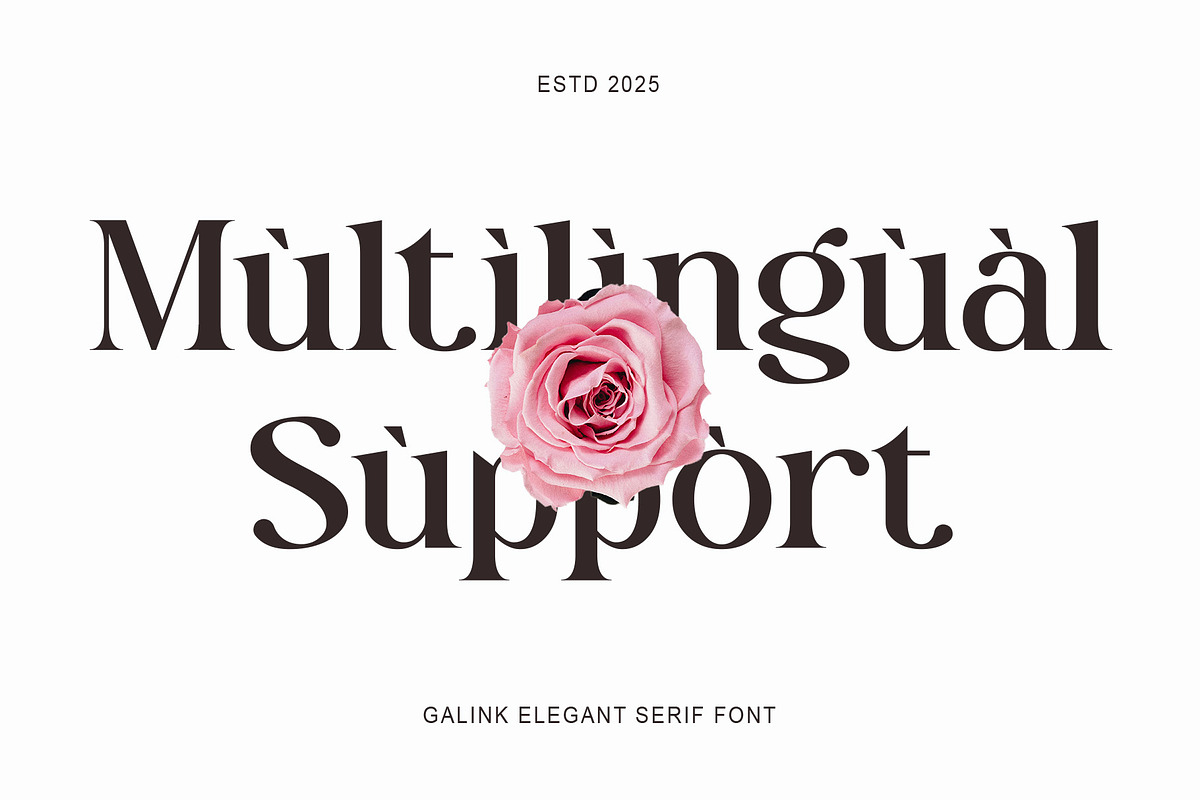Galink New Elegant  Serif, a Serif Font by Muflieart (Photo 8 of 9)