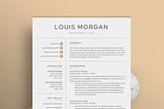 Resume/CV - The Louis, a Resume Template by CreativeLandStudio (Thumbnail 2 of 10)