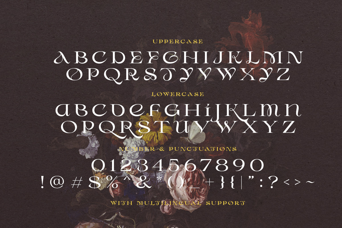 Desira - Attractive Serif, a Serif Font by Sarid Ezra (Photo 9 of 9)