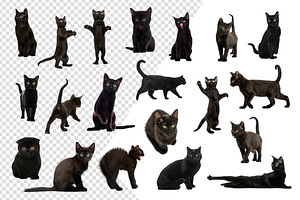 20 Black Cats - Cut-out Pictures