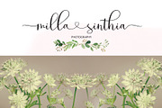 Fanthastic Script, a Script Font by Jhoel Design (Thumbnail 4 of 10)