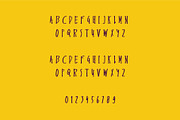 Endemic - Serif brush font, a Serif Font by WAP (Thumbnail 4 of 5)