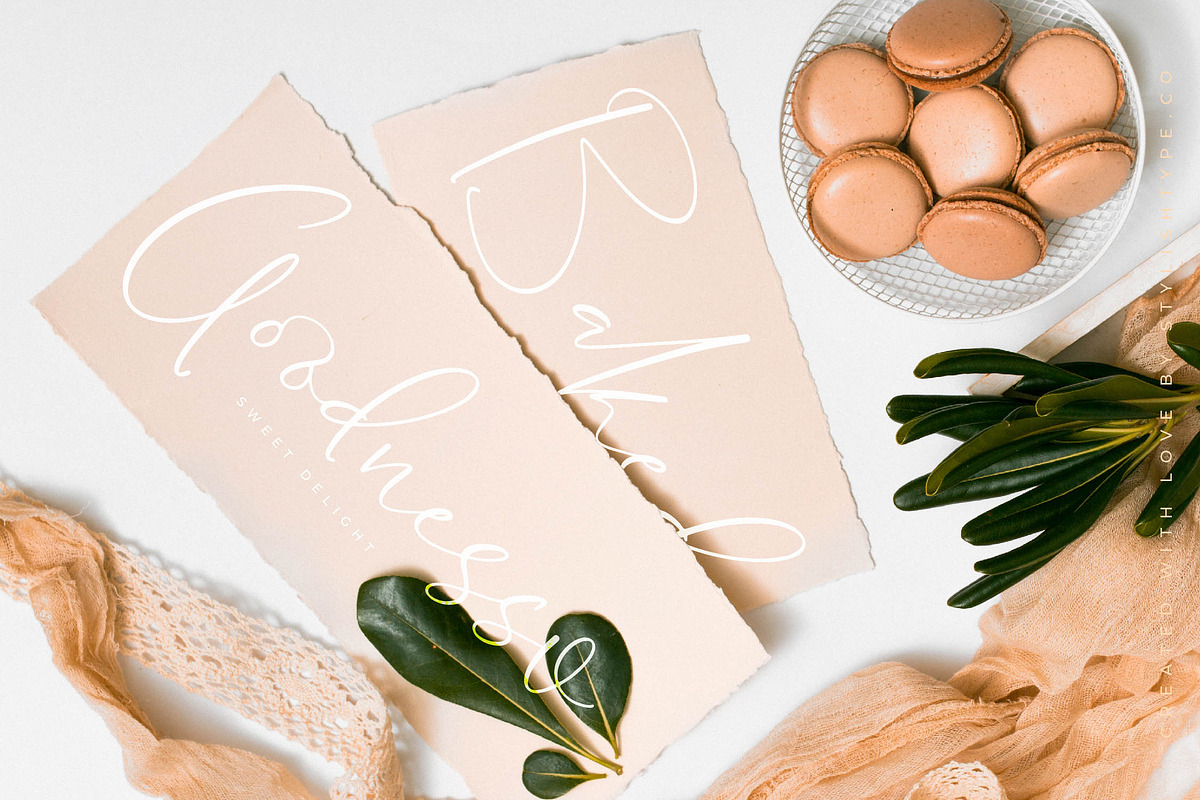 Blooming Stockholm Modern Script, a Script Font by stylishtype.co (Photo 2 of 20)