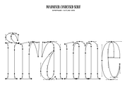 Roadminer - Condensed Serif Typeface, a Serif Font by Mbonster Design Studio (Thumbnail 8 of 17)