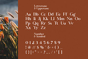 Dalgona Candy Modern/Vintage Font, a Serif Font by Typegoals Studio (Thumbnail 6 of 8)