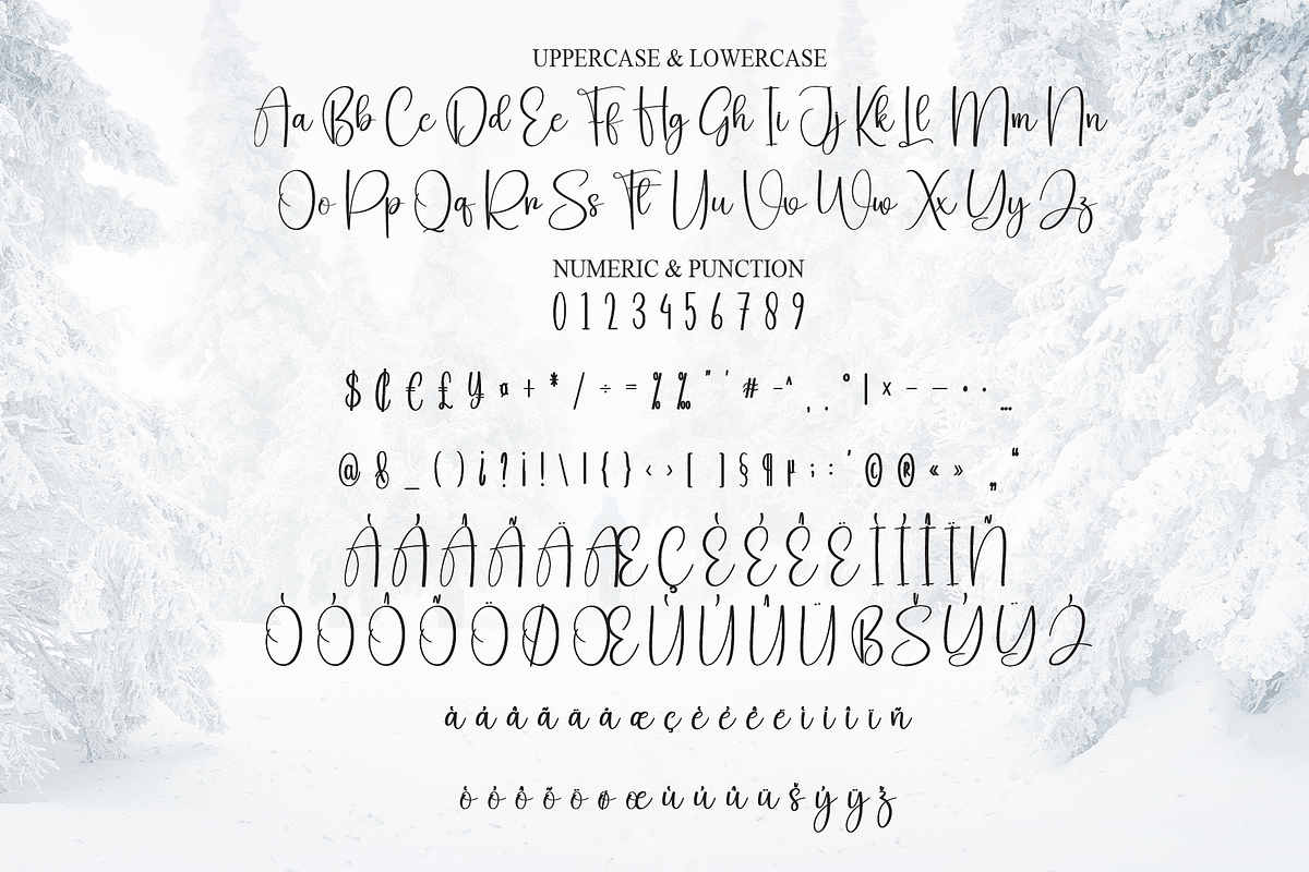 Wintersnow | Script Font, a Handwritten Font by Scratchones (Photo 7 of 9)