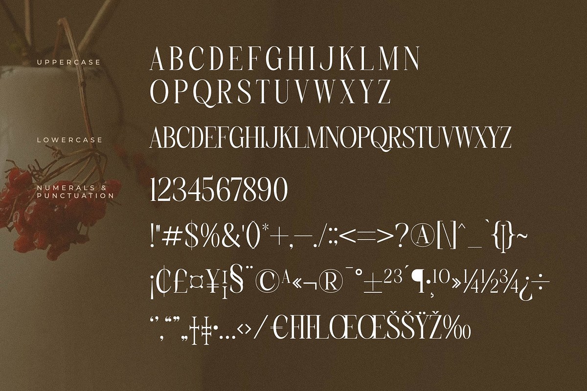 Charthe Modern Font Serif, a Serif Font by Storytype Studio (Photo 13 of 15)