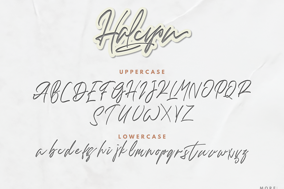Halcyon preview 5