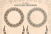 Autumn Moths & Dried Botanicals, an Animal Illustration by Ink Stories (Thumbnail 15 of 18)