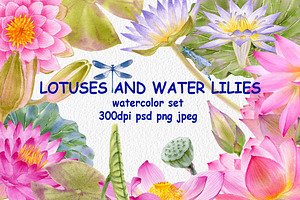 Lotuses And Water Lilies