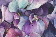 Watercolor violet Hydrangea painting, an Illustration by Khrys.art (Thumbnail 3 of 8)