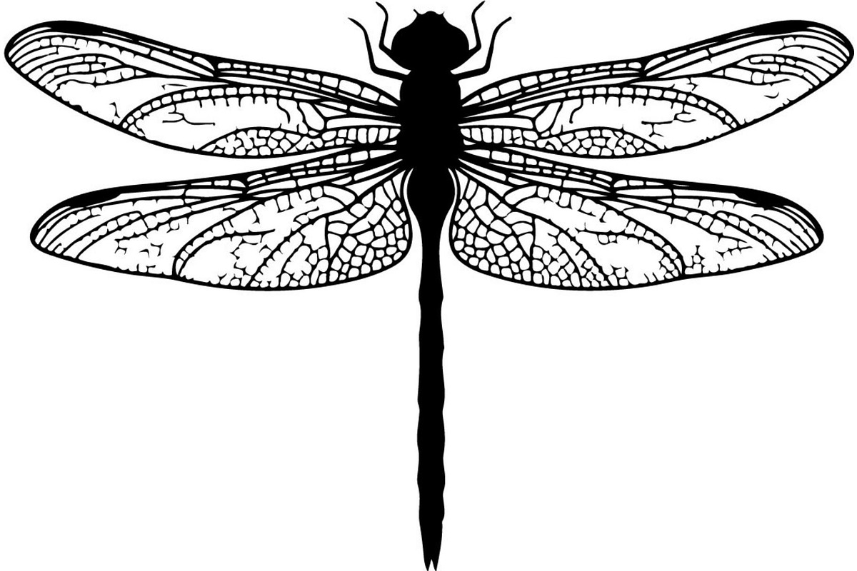 20 Dragonfly Silhouette Mega, an Object Graphic by Designer_Momina (Photo 19 of 19)