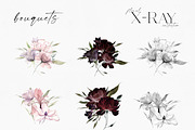 X-Ray Flowers Watercolor, an Object Illustration by Olga Koelsch (Thumbnail 10 of 13)
