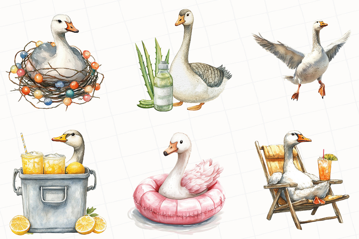 Silly Summer Goose Clipart, an Illustration by OK Design (Photo 5 of 5)