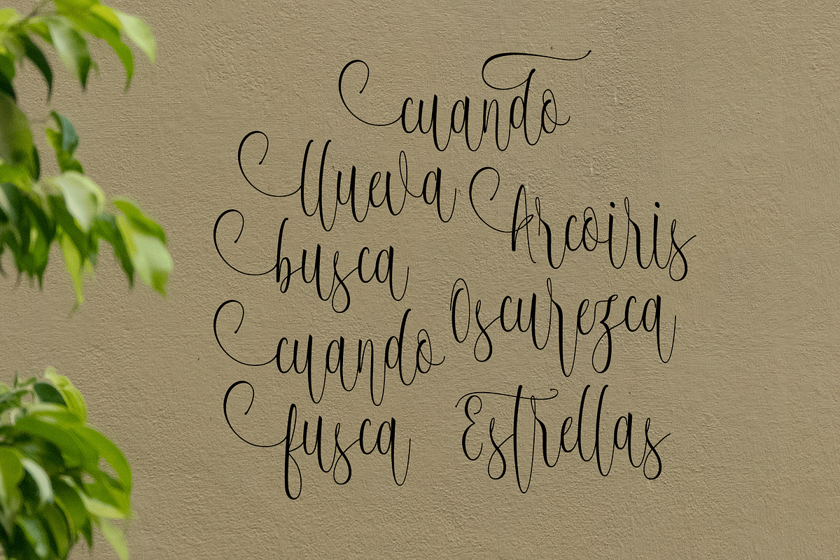 Ageless (Black Friday Sale), a Script Font by Deniz86 (Photo 9 of 9)
