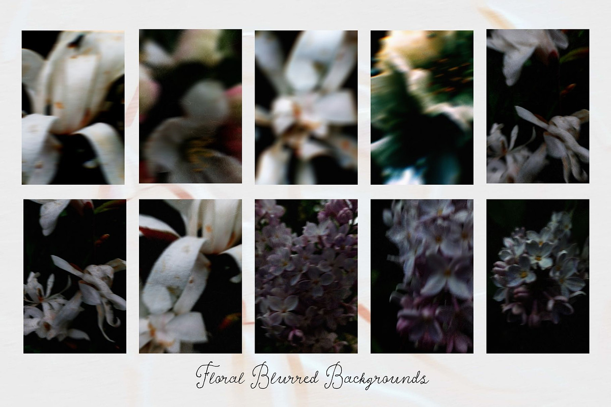 Dark bloom. Floral Backgrounds, a Background Graphic by PaperJamLab (Photo 6 of 14)