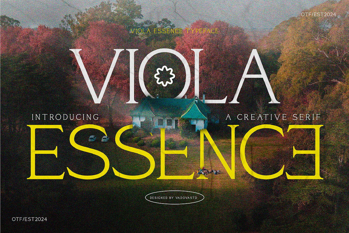 Viola Essence – Creative Serif Font, a Serif Font by Vadovastd (Photo 1 of 7)