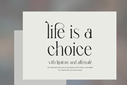 sagur unique ligature serif typeface, a Serif Font by yaqublekker (Thumbnail 5 of 9)