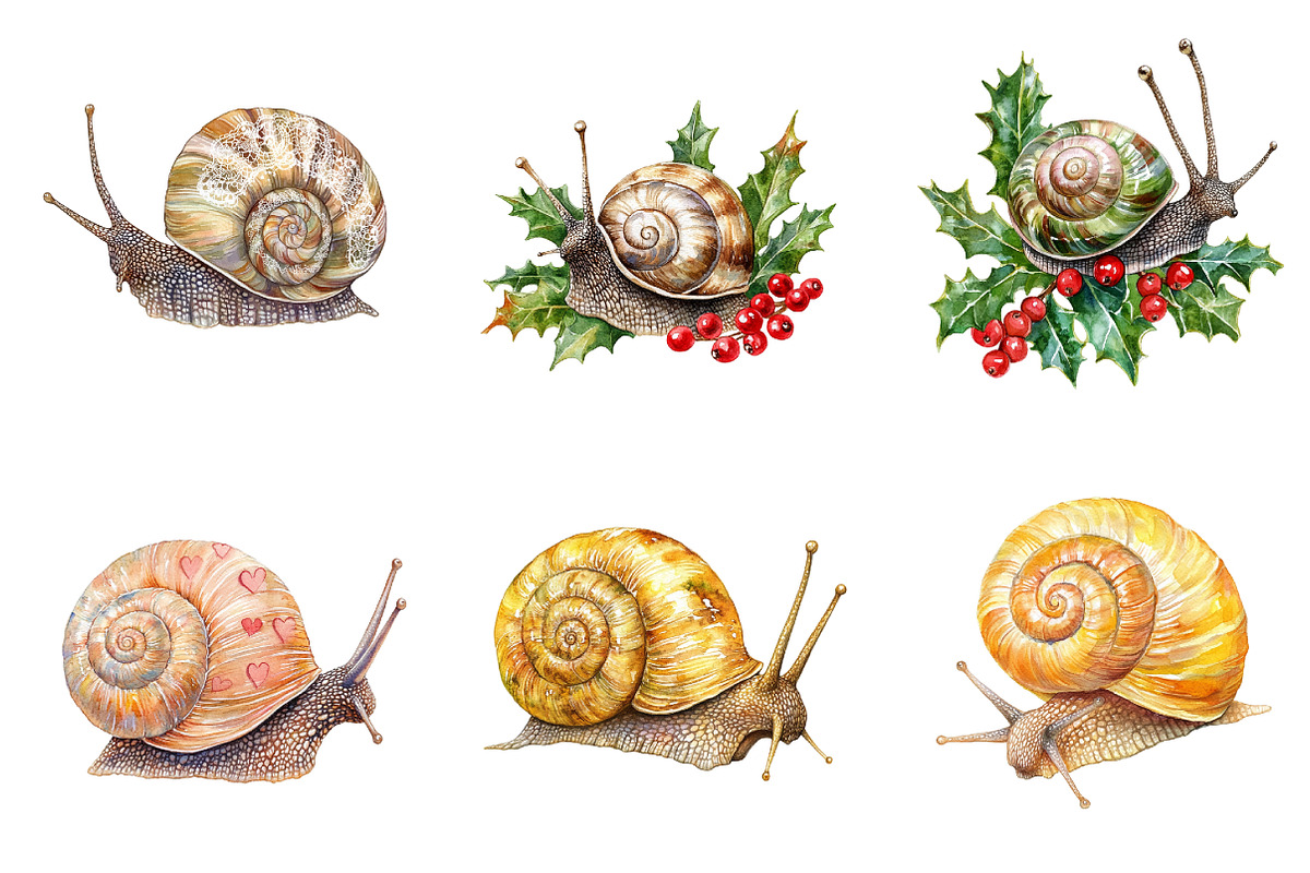 Watercolor Snail Clipart, an Illustration by Design Market (Photo 4 of 4)