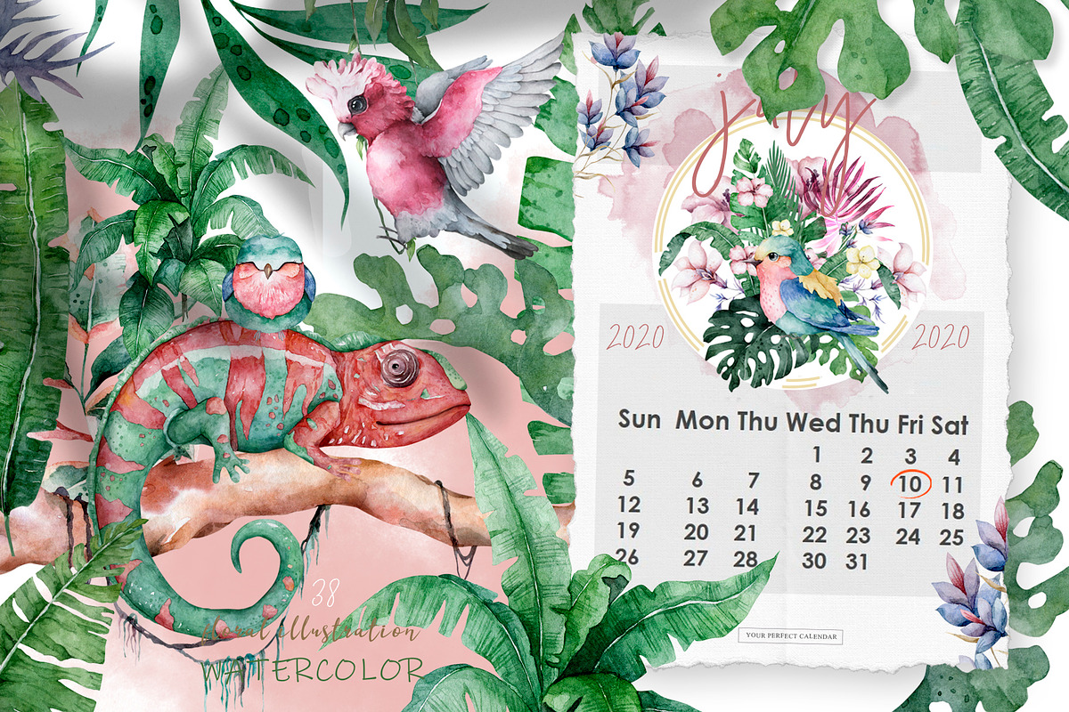 Tropical Wildlife Watercolor set, an Illustration by Ann Art Houze (Photo 11 of 13)