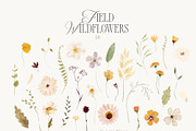 FIELD WILDFLOWERS watercolor, a Decorative Illustration by Lana Elanor (Thumbnail 8 of 12)