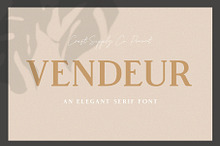 Vendeur - Elegant Serif Font
