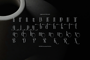 Apex Royale | Modern Serif, a Serif Font by gracetype_studio (Thumbnail 11 of 12)
