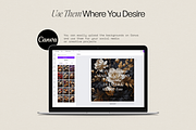 FLORAL Oil Painting Backgrounds, an Illustration by Aire Studio (Thumbnail 4 of 7)